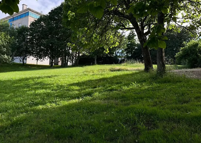 Apartamento Mestre Mateo Santiago de Compostela